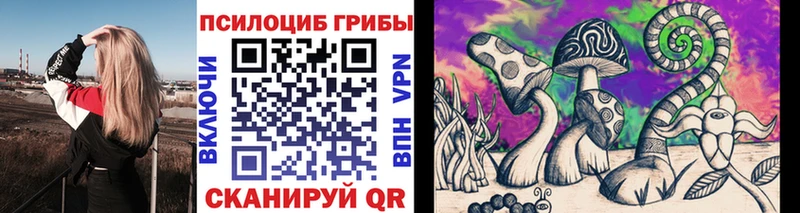 KRAKEN маркетплейс  купить наркотик  Джанкой  Псилоцибиновые грибы Magic Shrooms 