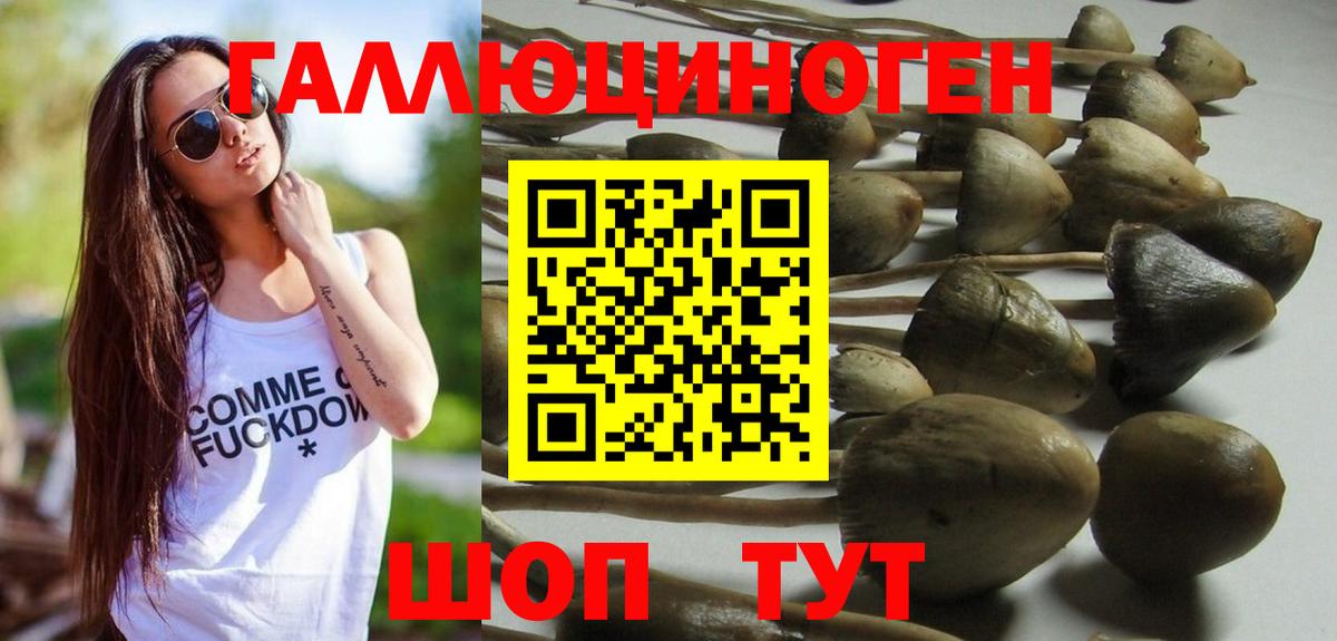 дарнет шоп  Вход с VPN  Джанкой  Галлюциногенные грибы MAGIC MUSHROOMS 