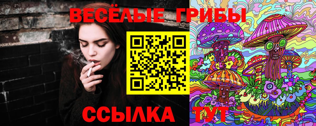 Псилоцибиновые грибы Cubensis Джанкой